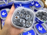 MÁCH BẠN ĐỊA CHỈ MUA VIỆT QUẤT TẠI QUẬN 6
