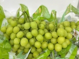 NHO XANH ÚC MÙA VỤ MỚI