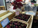 CỬA HÀNG TRÁI CÂY NHẬP KHẨU QUẬN 5 - ĐỊA CHỈ UY TÍN CHUYÊN CHERRY MỸ TƯƠI NGON