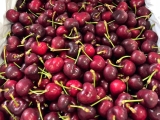 CÁC LOẠI CHERRY MỸ