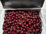MÁCH BẠN CÁCH CHỌN MUA CHERRY QUẬN 6 TƯƠI NGON 