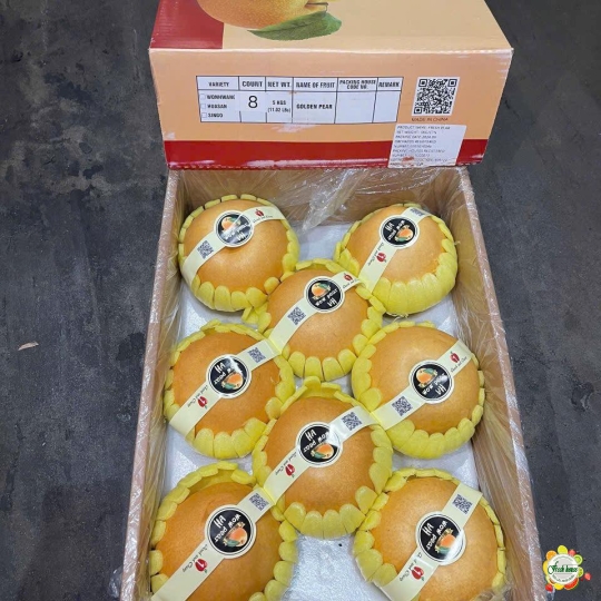 LÊ NÂU 