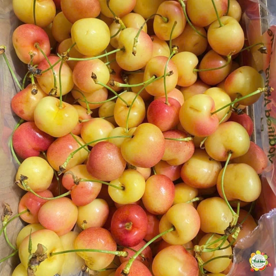 500gram Cherry vàng Mỹ size 8.5