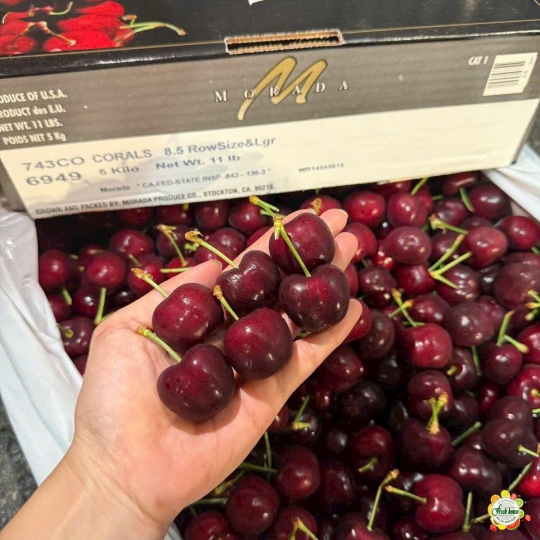 500gram Cherry Mỹ size 8.5