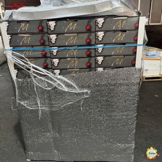 500gram Cherry Mỹ size 8.5