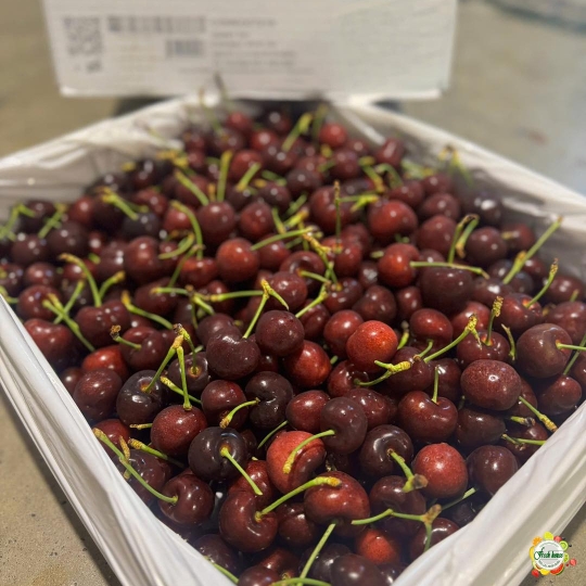 500gr Cherry Mỹ size 9