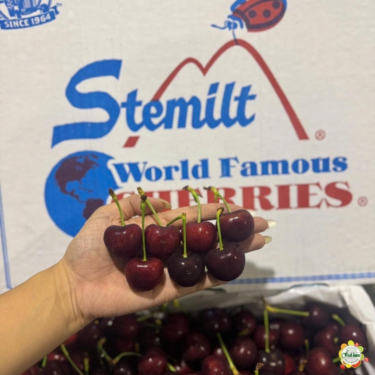 500gr Cherry Mỹ size 9