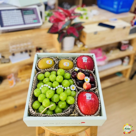 HỘP TRÁI CÂY NHẬP KHẨU 127