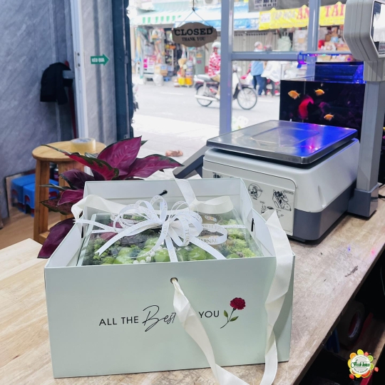 HỘP TRÁI CÂY NHẬP KHẨU 127