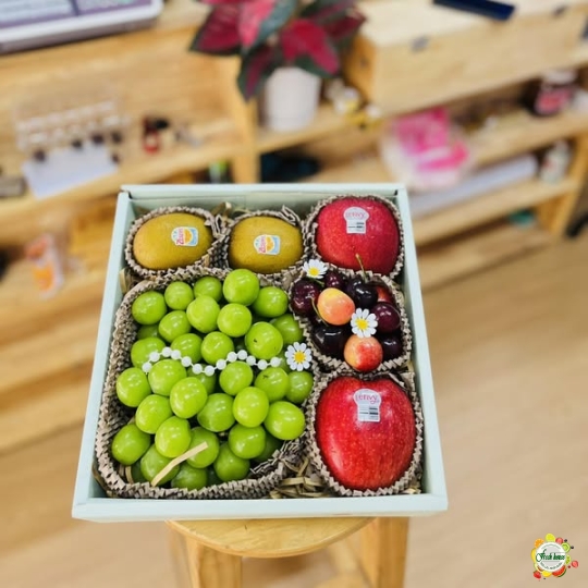 HỘP TRÁI CÂY NHẬP KHẨU 127