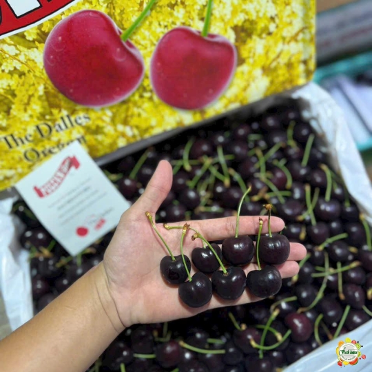 500gr Cherry Mỹ size 9