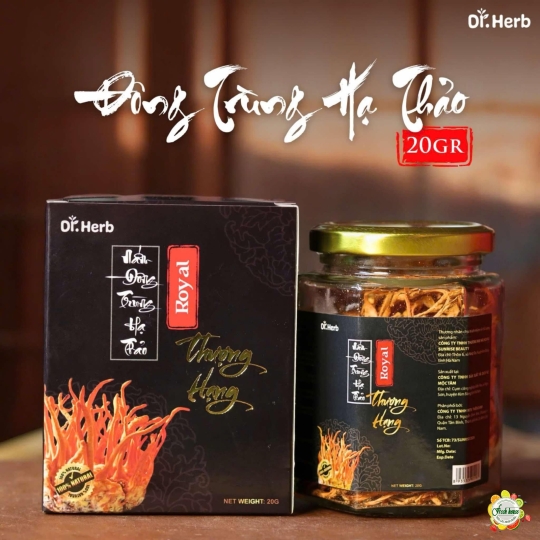 Đông trùng hạ thảo khô Hoàng Gia thượng hạng 20g (hộp)