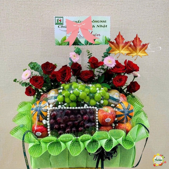 TRÁP DẠM NGÕ 7
