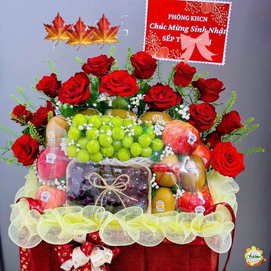 TRÁP DẠM NGÕ 6