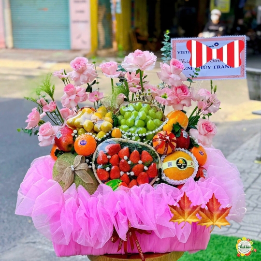 TRÁP DẠM NGÕ 5