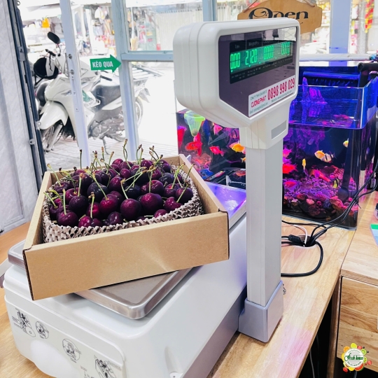 HỘP TRÁI CÂY NHẬP KHẨU 109