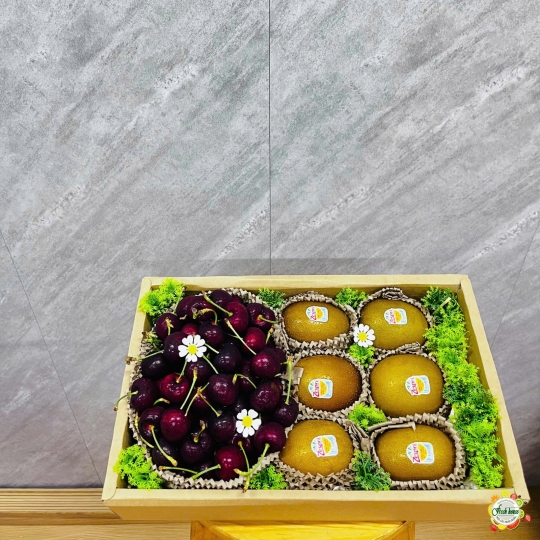 HỘP TRÁI CÂY NHẬP KHẨU 102
