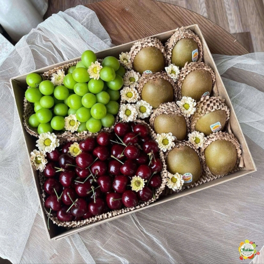 HỘP TRÁI CÂY NHẬP KHẨU 102