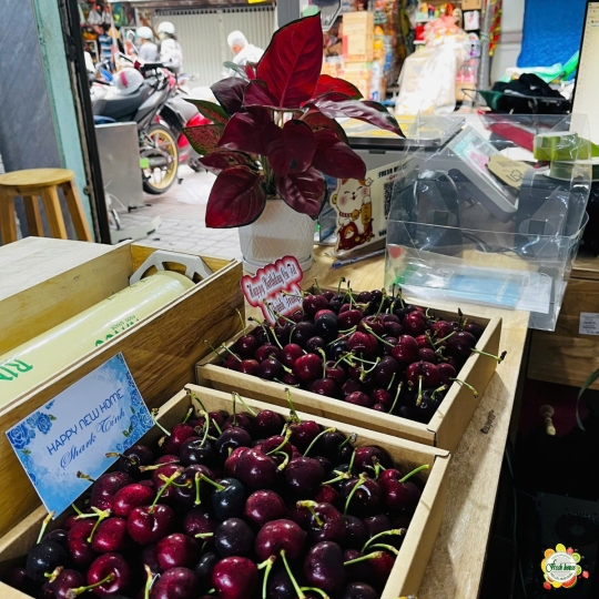 HỘP TRÁI CÂY NHẬP KHẨU 106