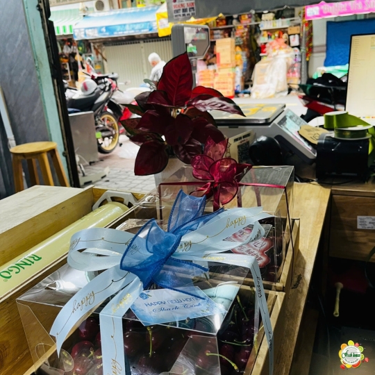 HỘP TRÁI CÂY NHẬP KHẨU 106