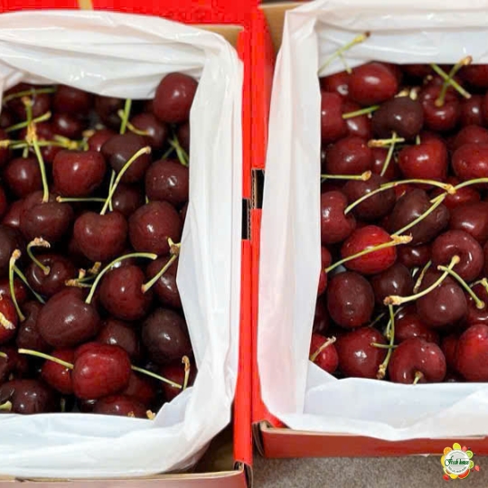 HỘP QUÀ CHERRY MỸ 1KG 110